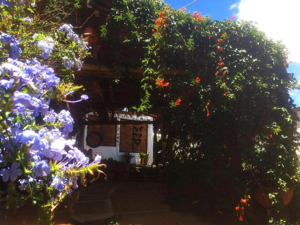 Tinto Hostel บาริชารา ภายนอก รูปภาพ