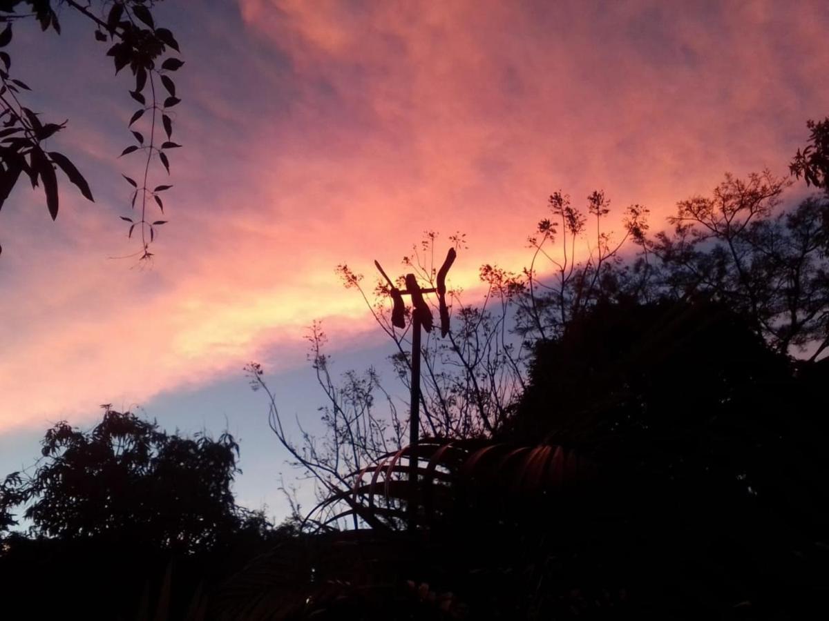 Tinto Hostel บาริชารา ภายนอก รูปภาพ