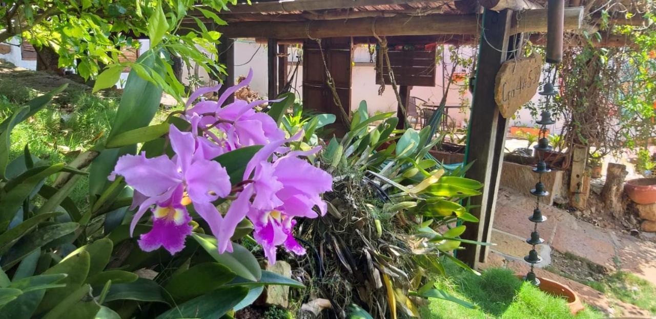 Tinto Hostel บาริชารา ภายนอก รูปภาพ